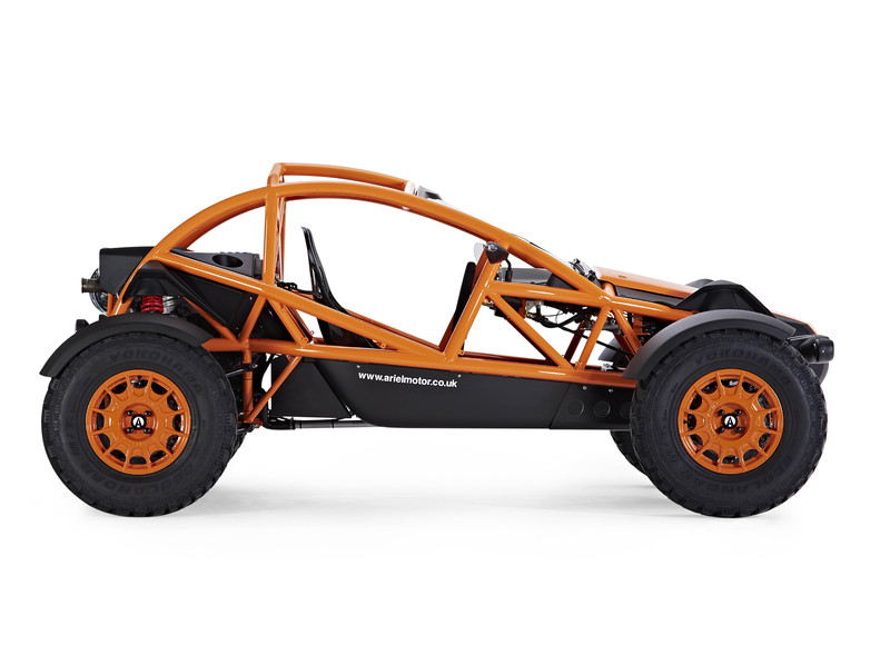 Ariel Nomad